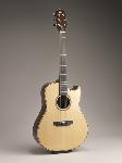Steel String with Cutaway